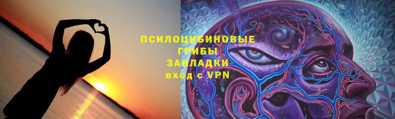 Галлюциногенные грибы MAGIC MUSHROOMS  гидра как зайти  Аргун  закладки 